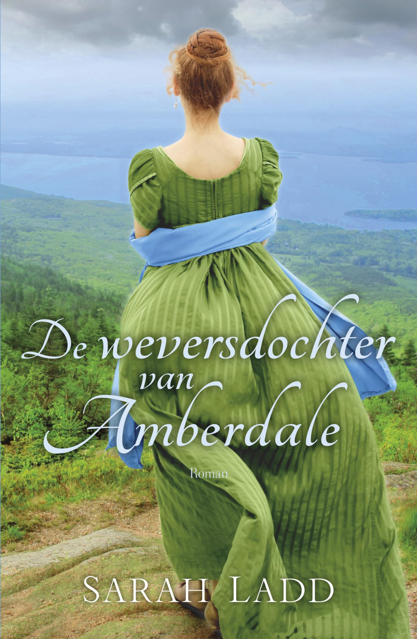 De weversdochter van Amberdale: roman book