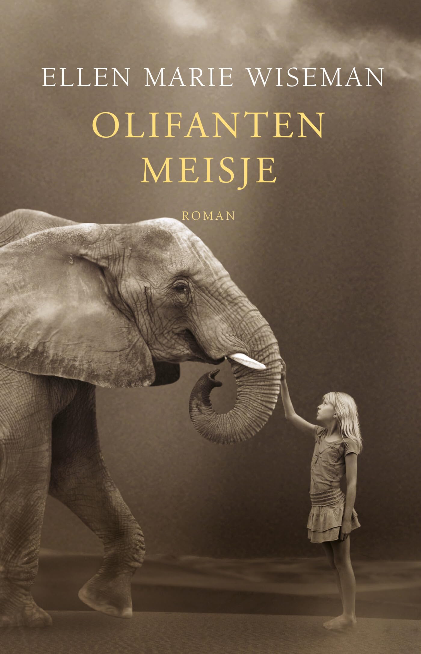 Olifantenmeisje: roman Contemporary literature