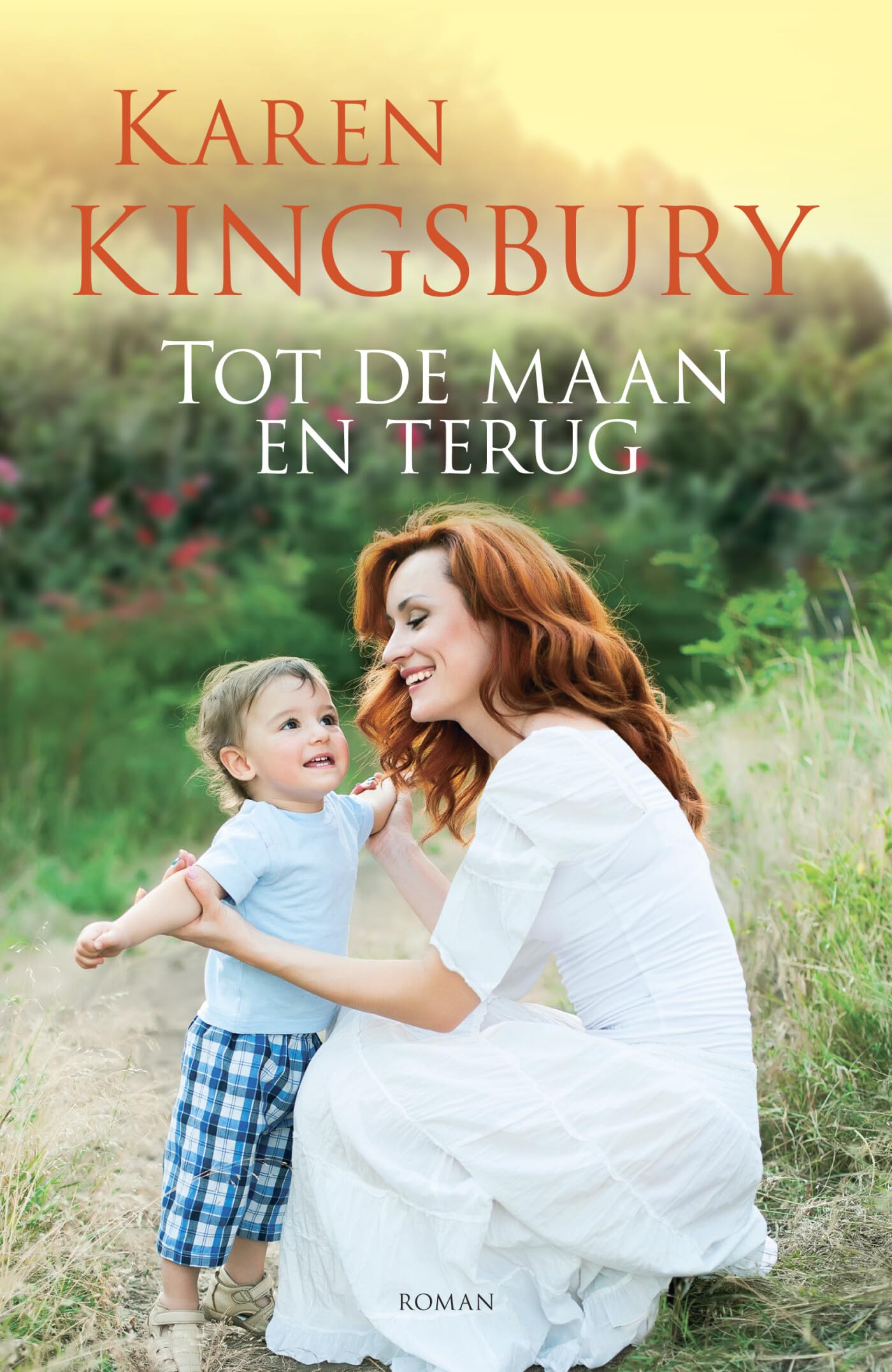 Tot de maan en terug: roman book