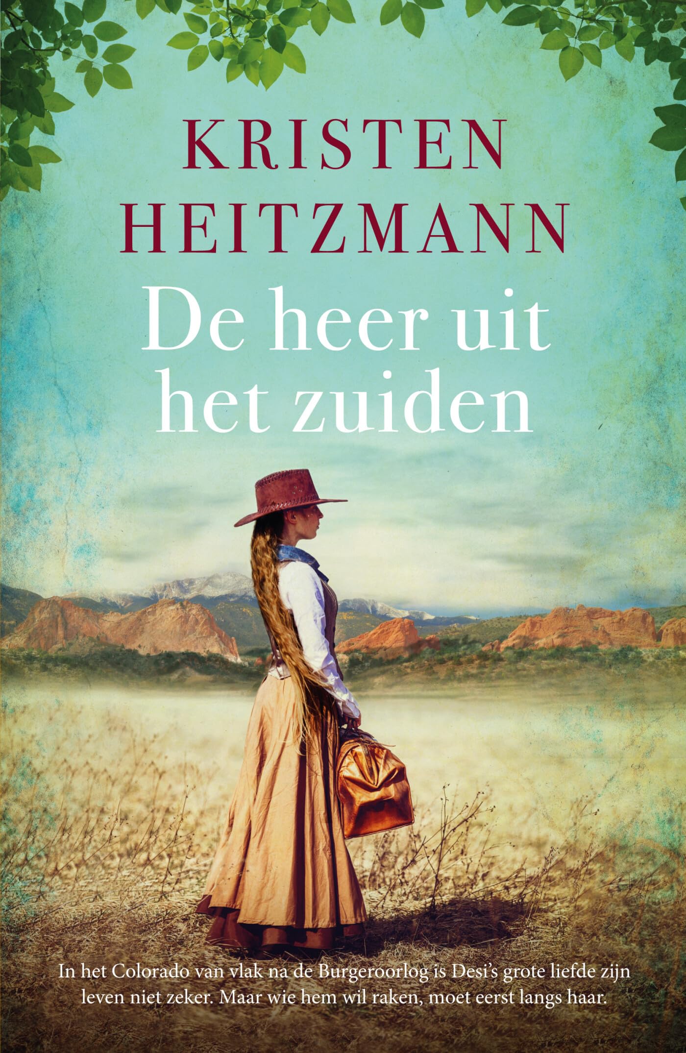 De heer uit het zuiden: roman (Het land van de gouden rivieren, 2) Historical Fiction