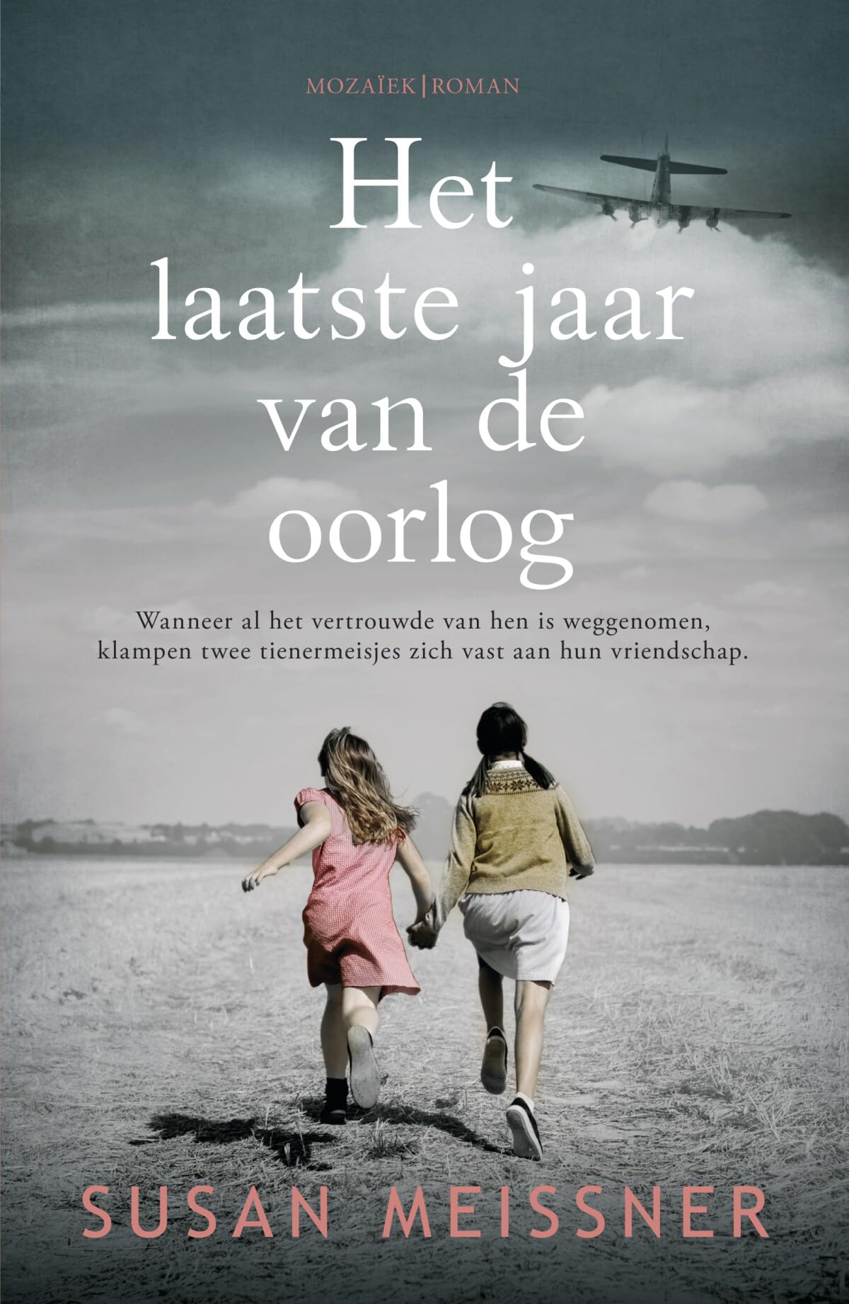 Het laatste jaar van de oorlog: roman book