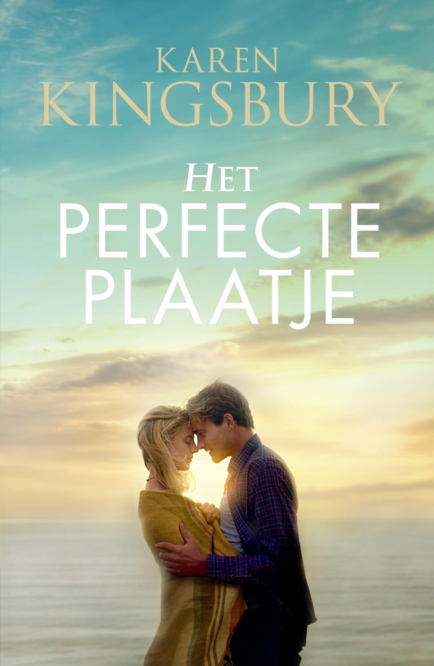 Het perfecte plaatje: roman book