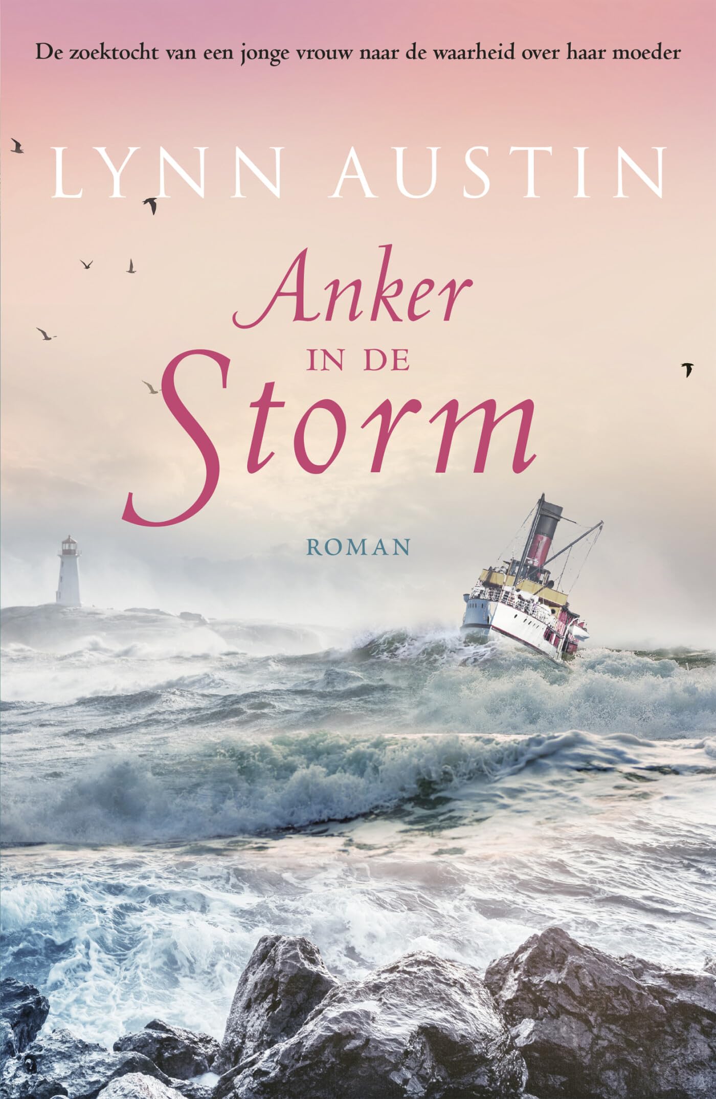 Anker in de storm: roman (Mercy, 2) Religion & Esotericism