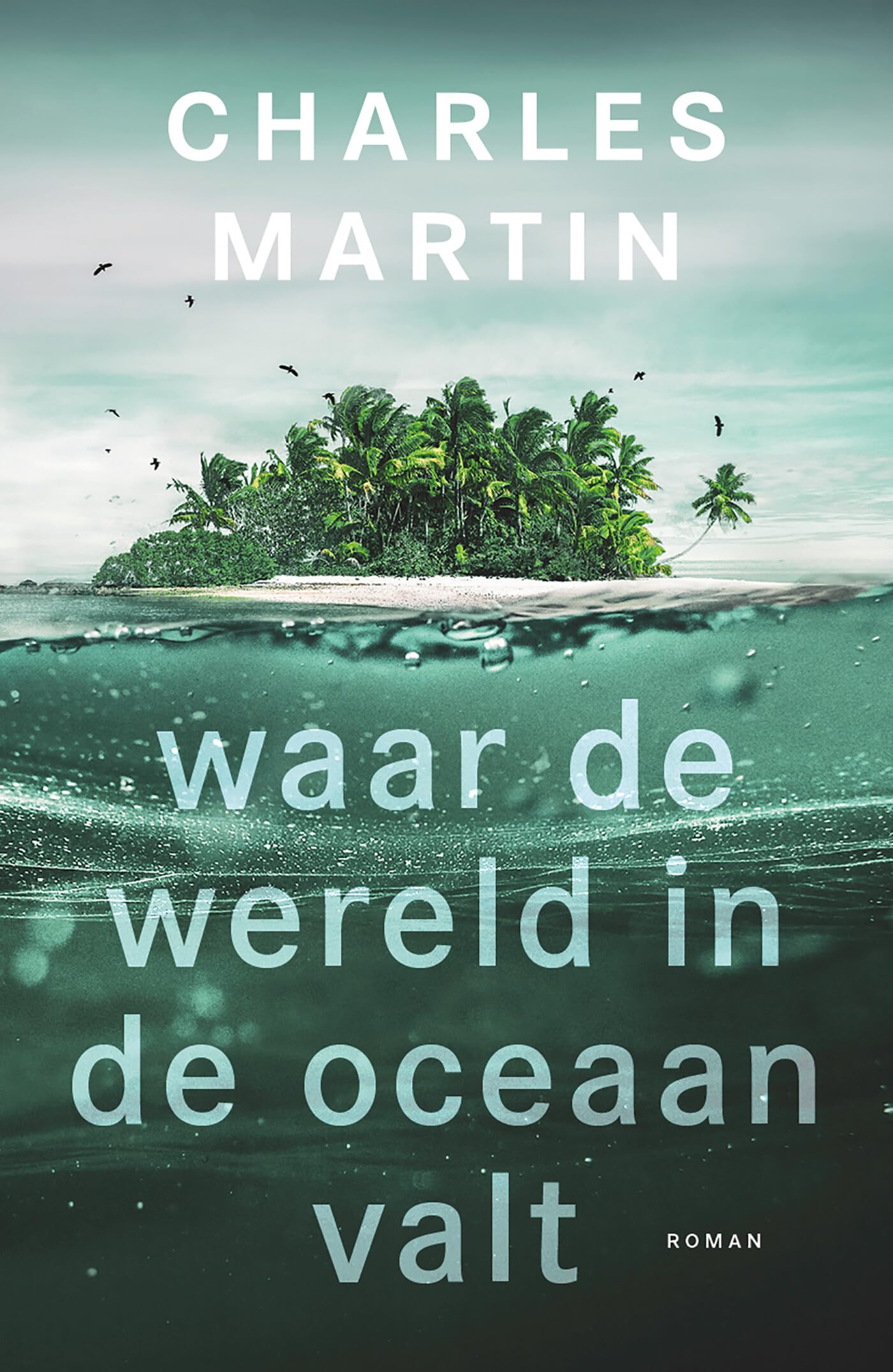 Waar de wereld in de oceaan valt: roman book