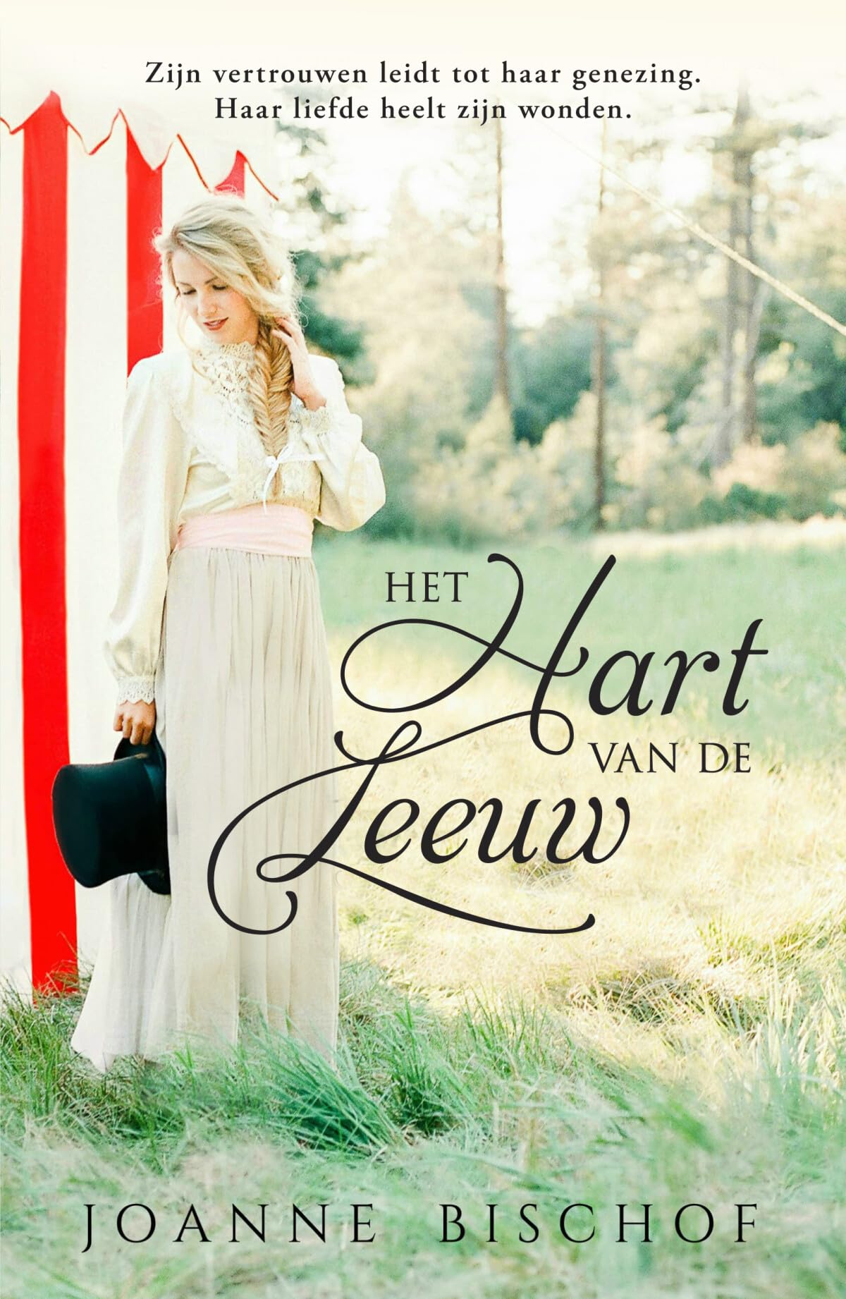 Het hart van de leeuw: roman book