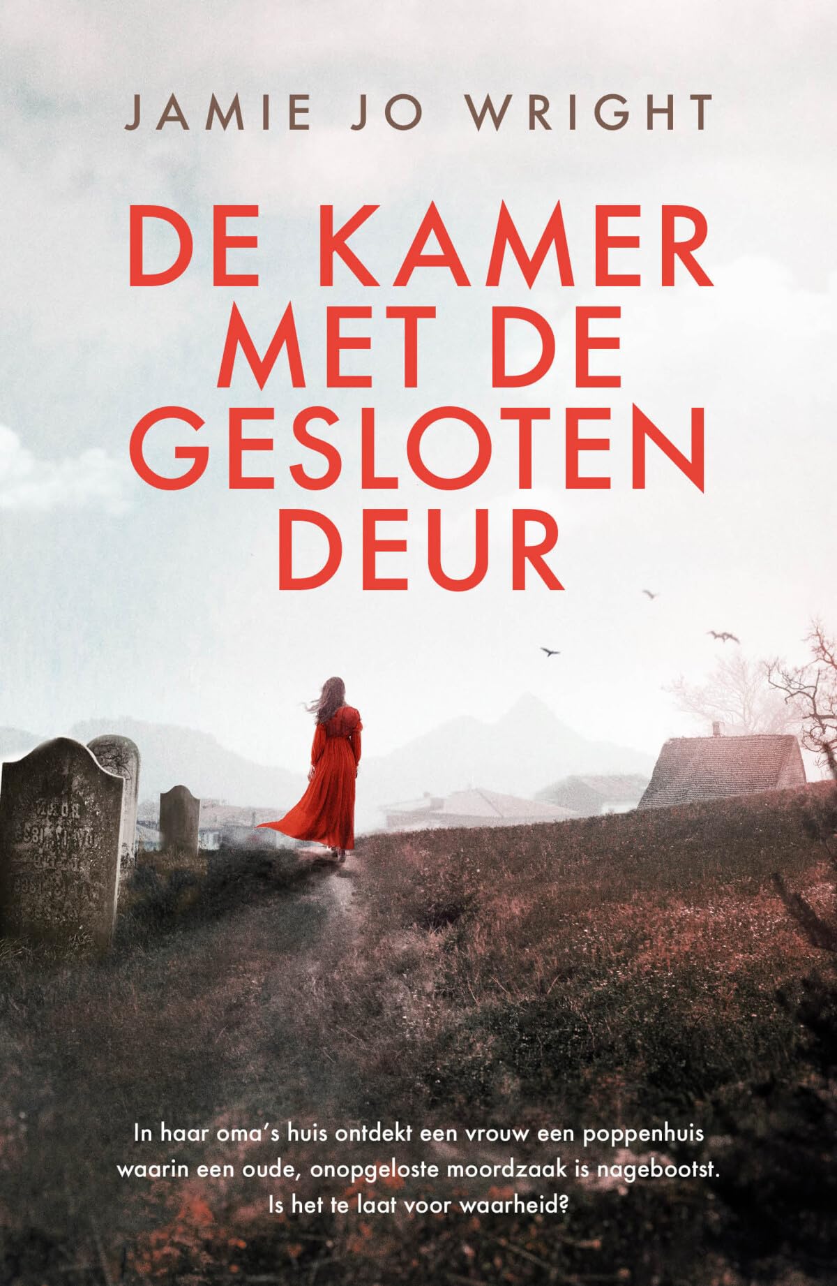 De kamer met de gesloten deur: roman book