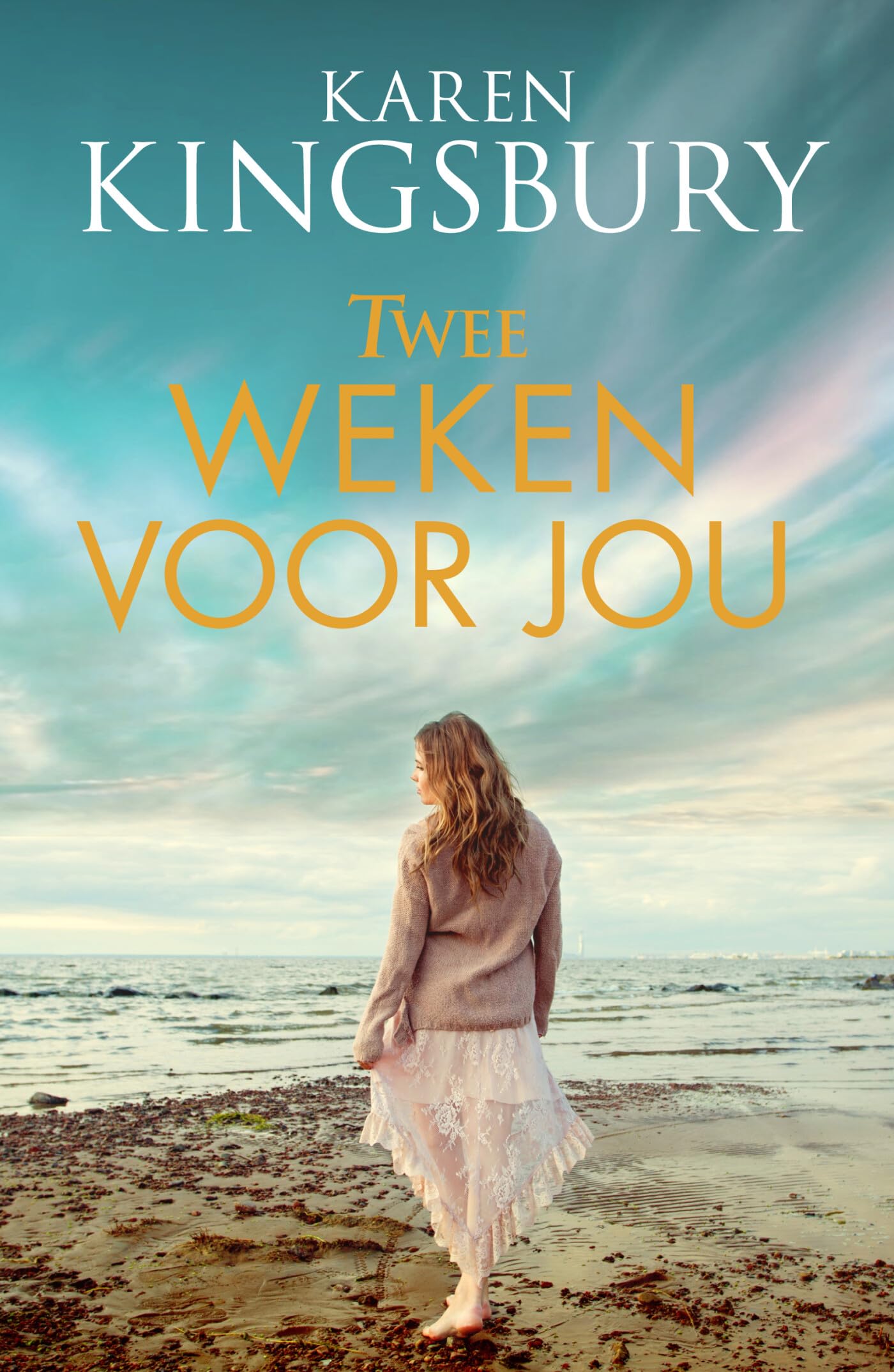 Twee weken voor jou: roman book