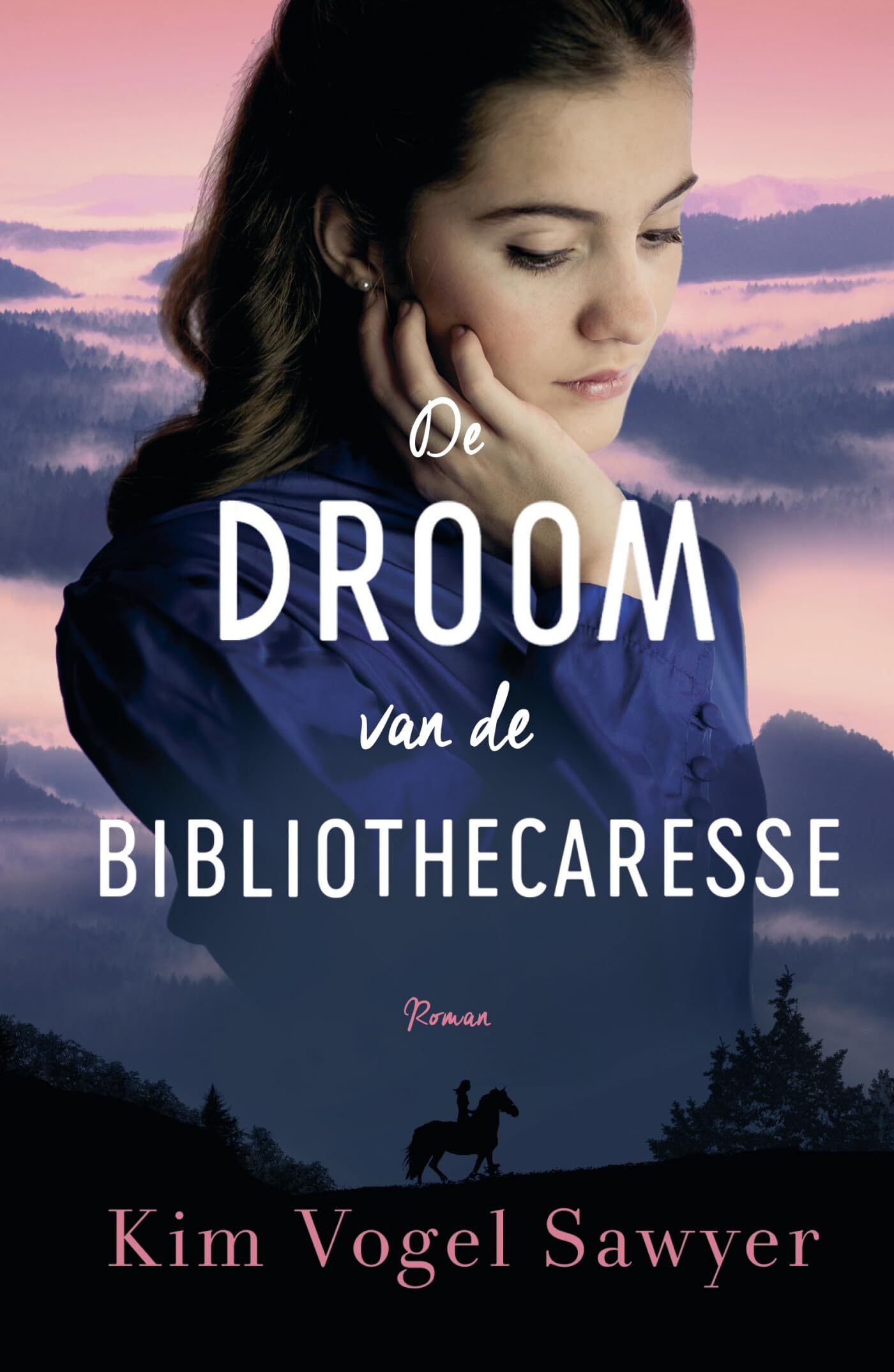 De droom van de bibliothecaresse: roman book