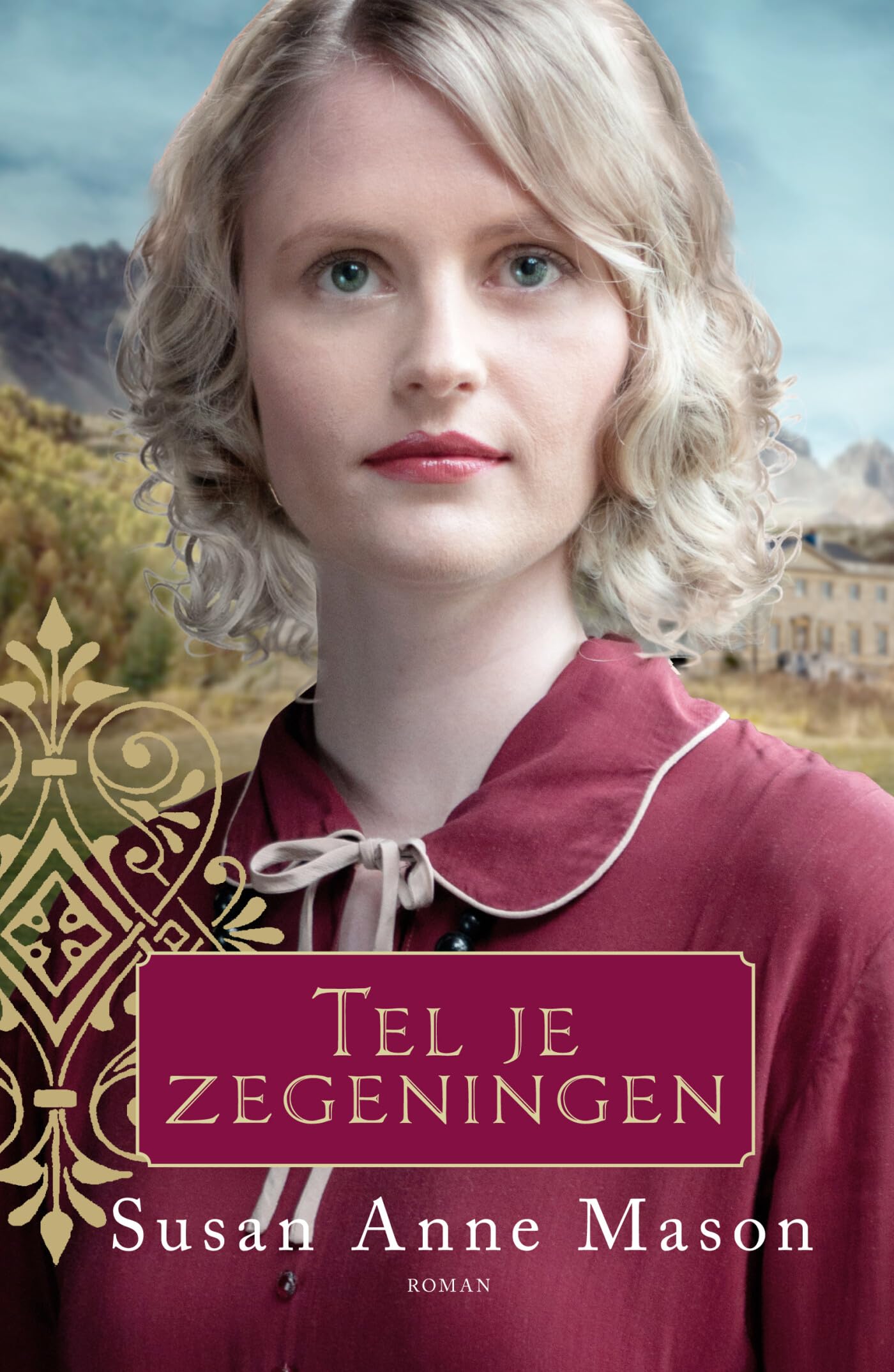 Tel je zegeningen: roman book