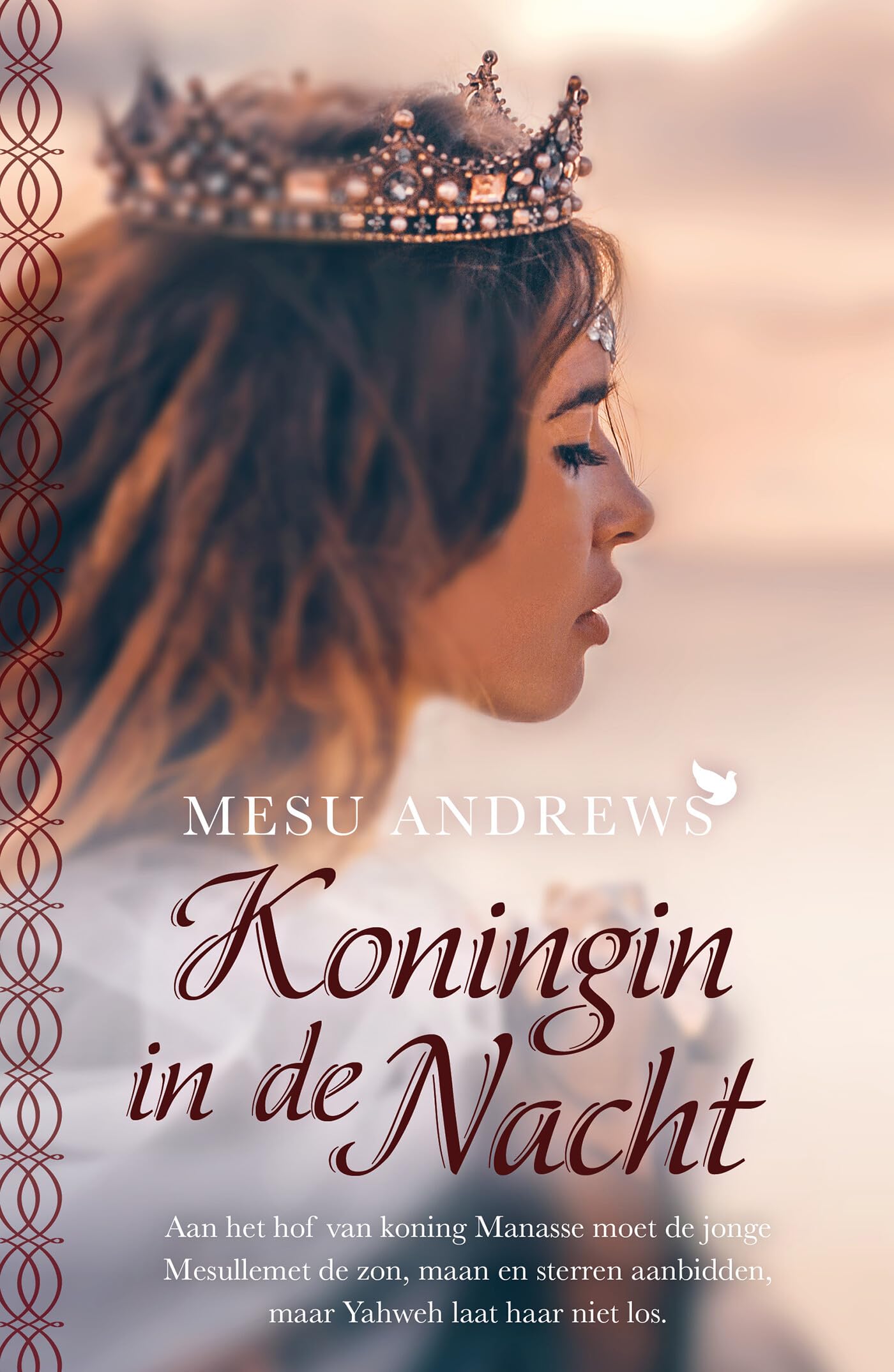Koningin in de nacht: roman book