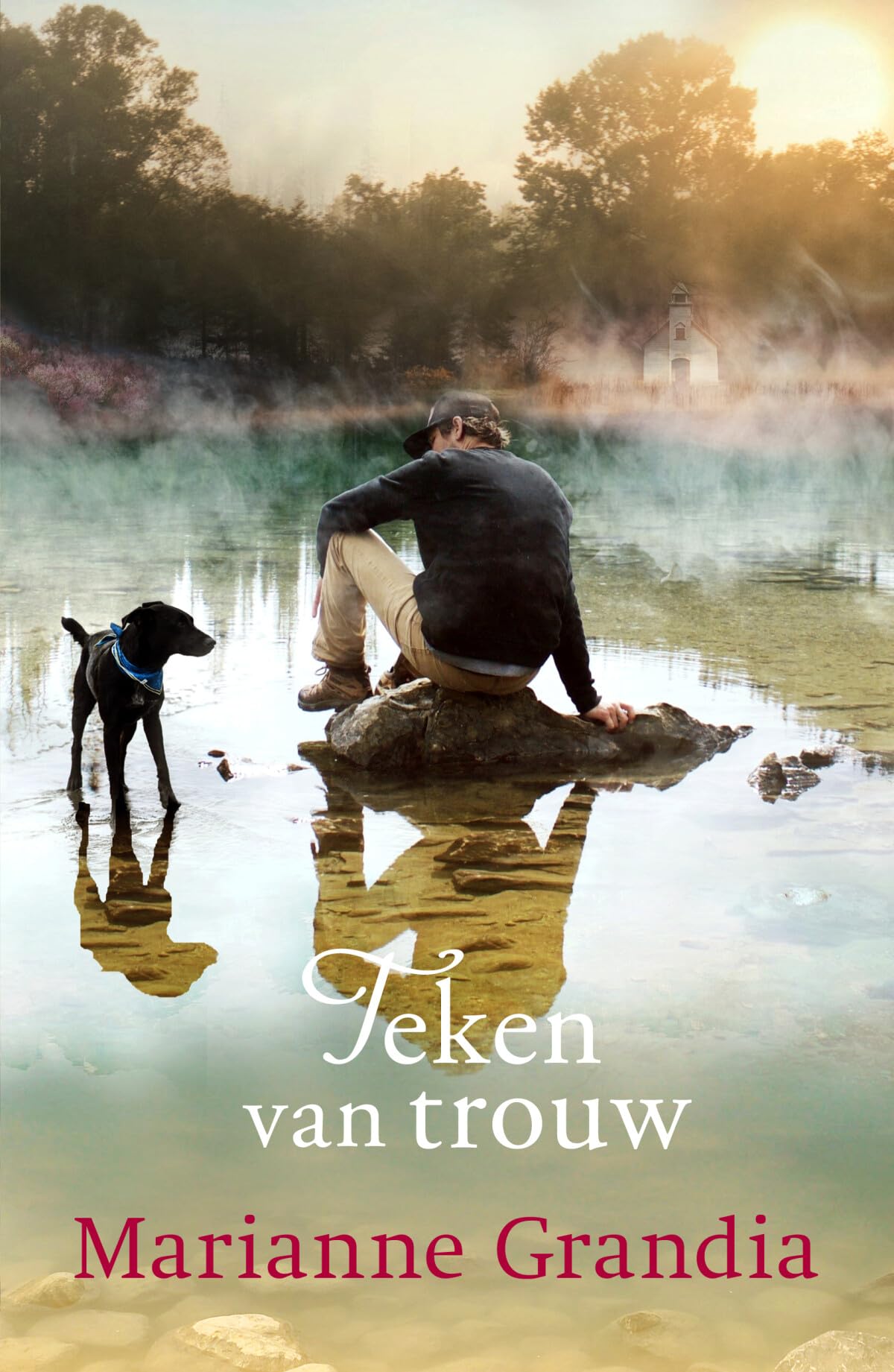 Teken van trouw: roman Contemporary literature
