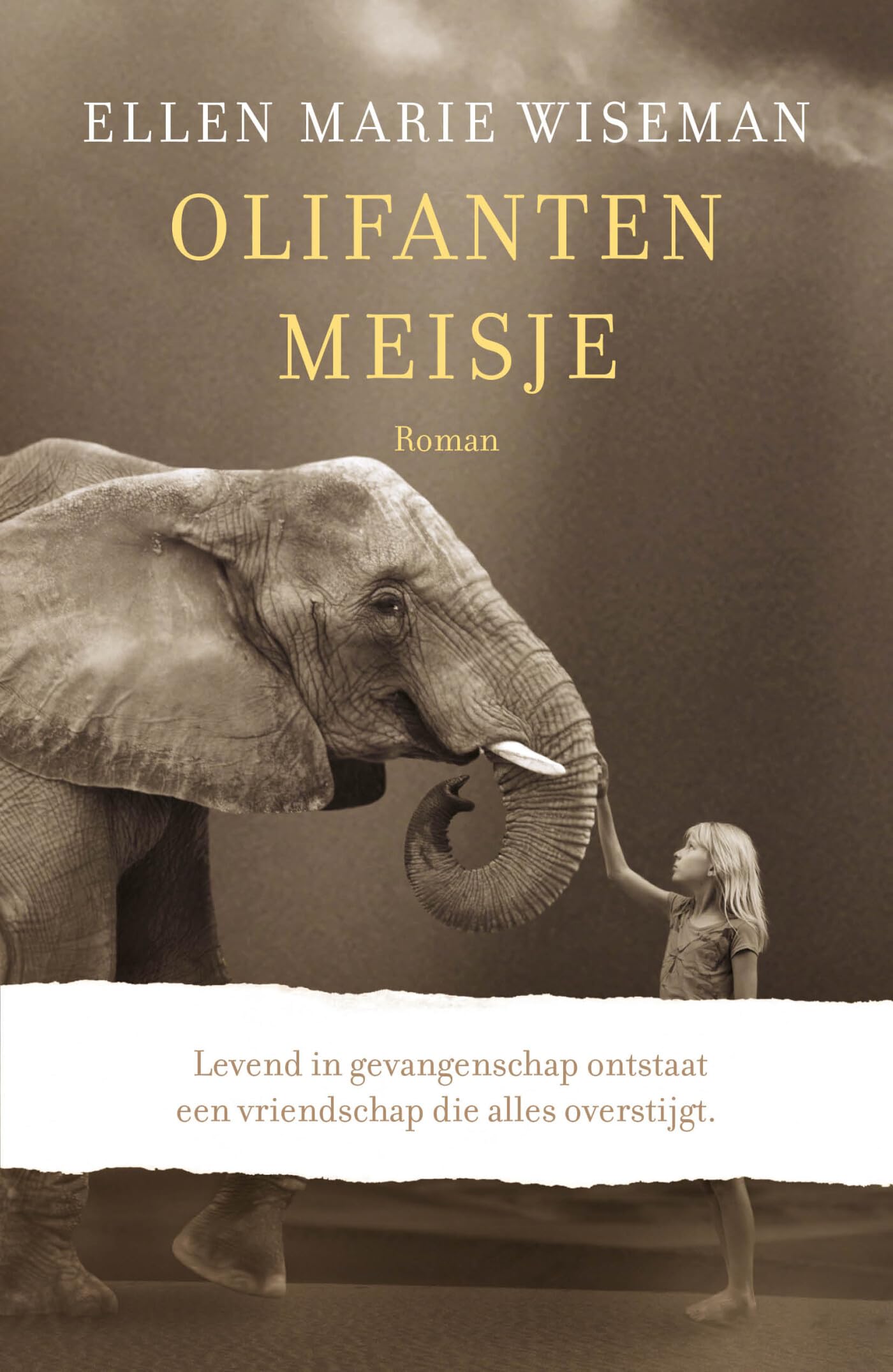 Olifantenmeisje: roman Contemporary literature