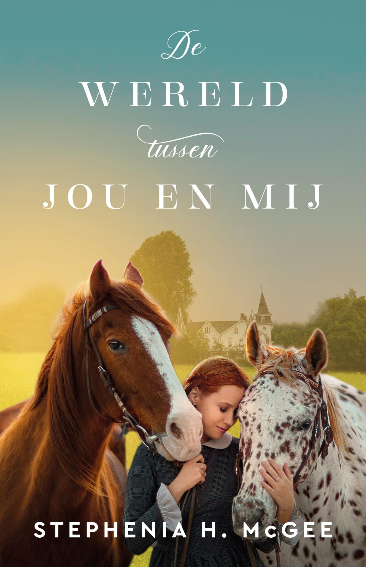De wereld tussen jou en mij: roman book