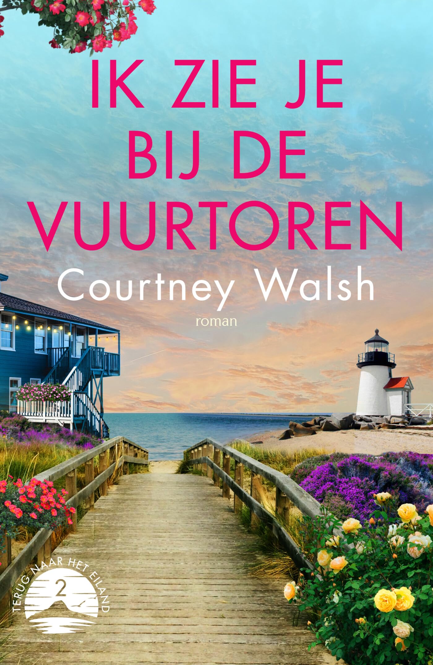 Ik zie je bij de vuurtoren: roman book