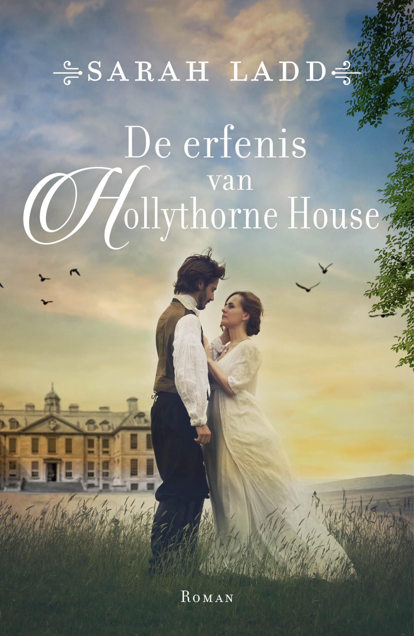 De erfenis van Hollythorne House: roman book