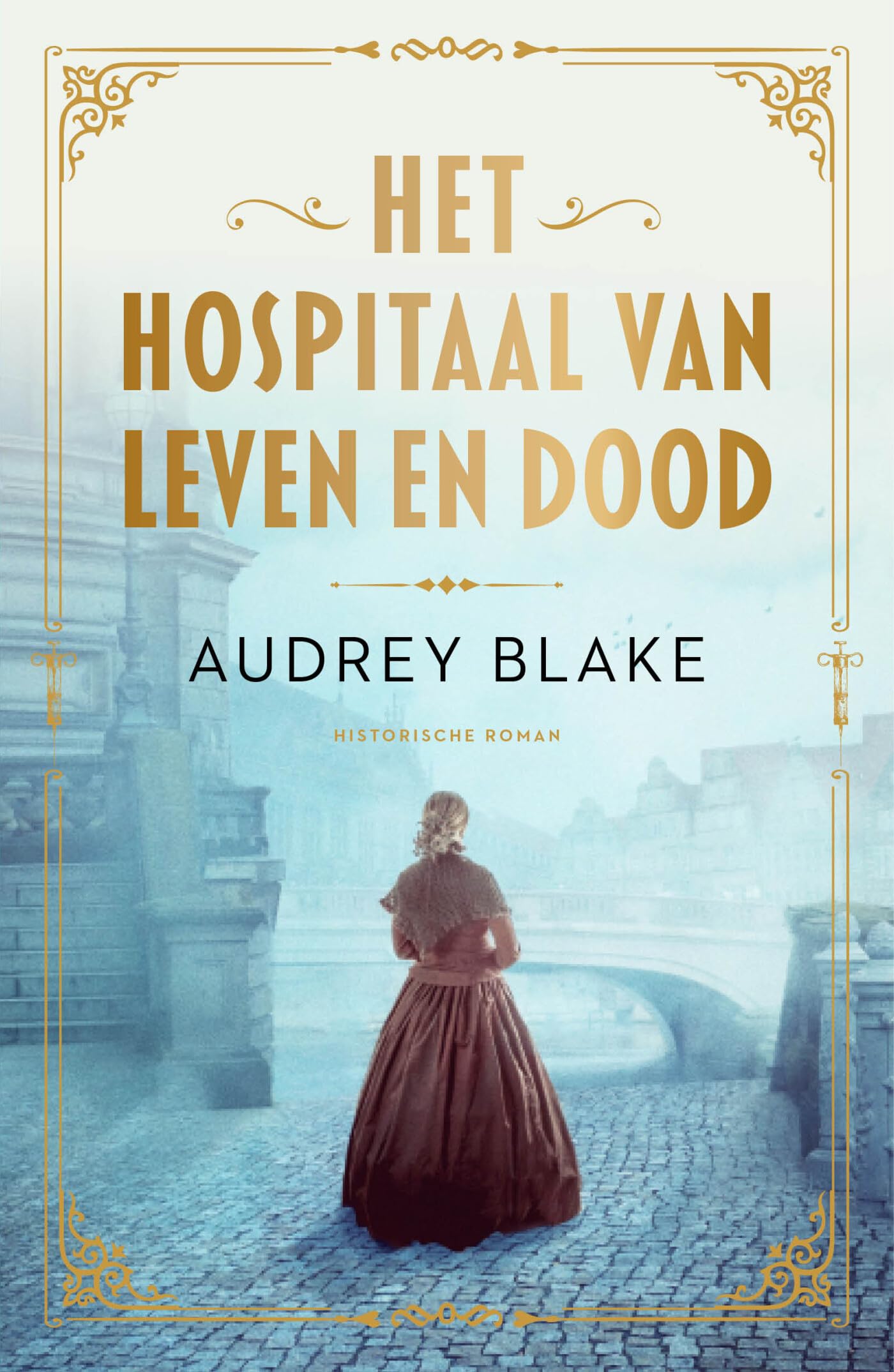 Het hospitaal van leven en dood: roman book