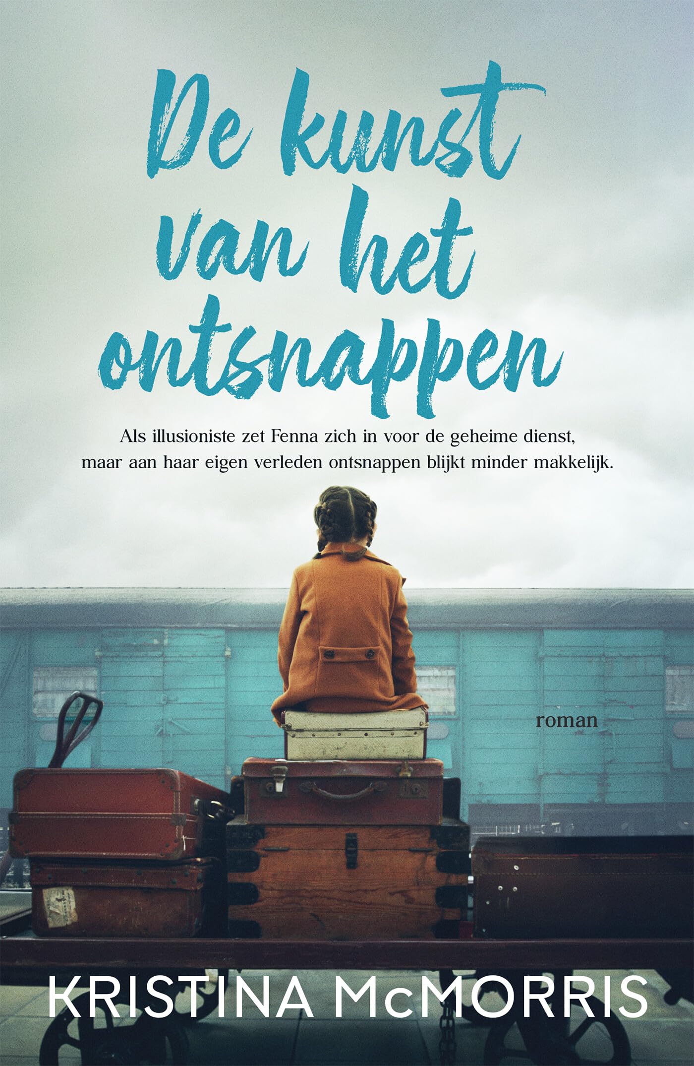 De kunst van het ontsnappen: roman book