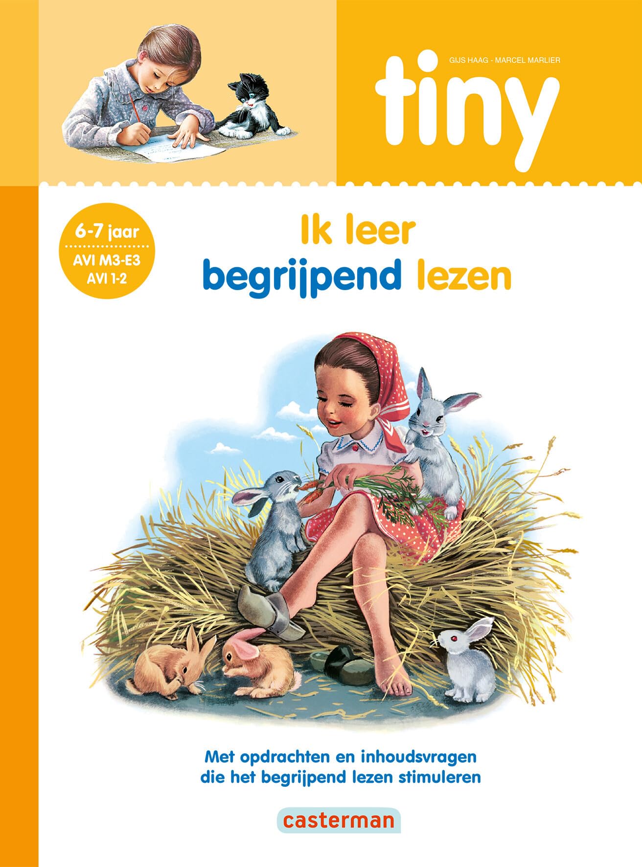 Ik leer begrijpend lezen 6-7 jaar (Tiny verhalen voor beginnende lezers) Books