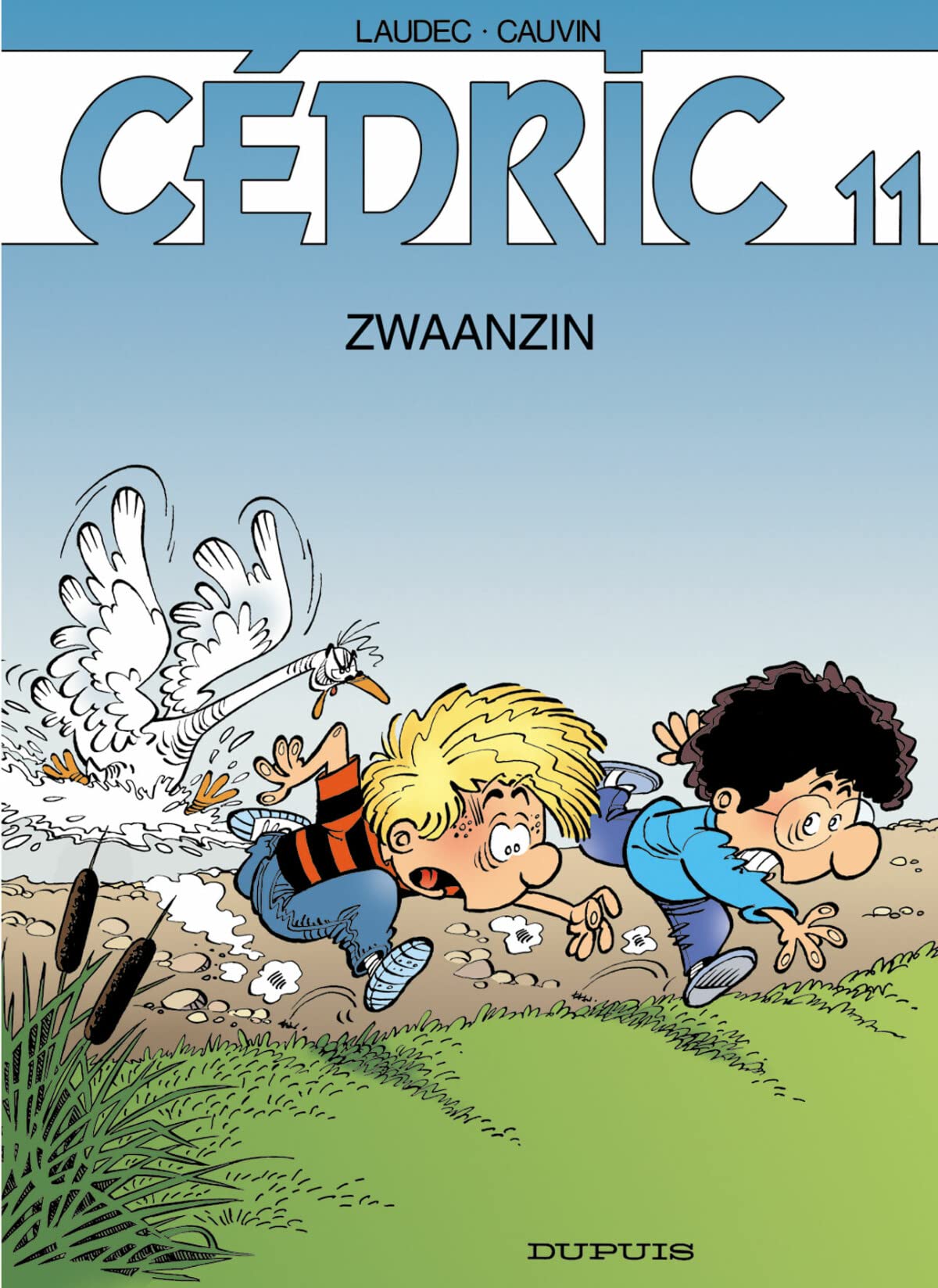 Zwaanzin book