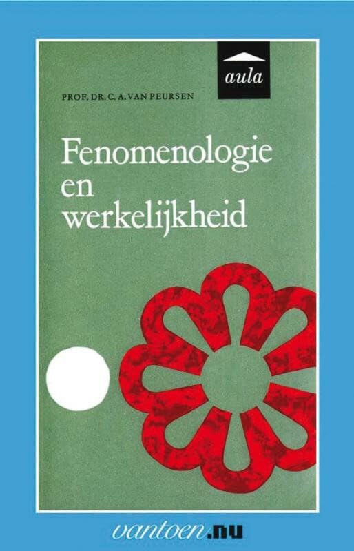 Fenomenologie en werkelijkheid book