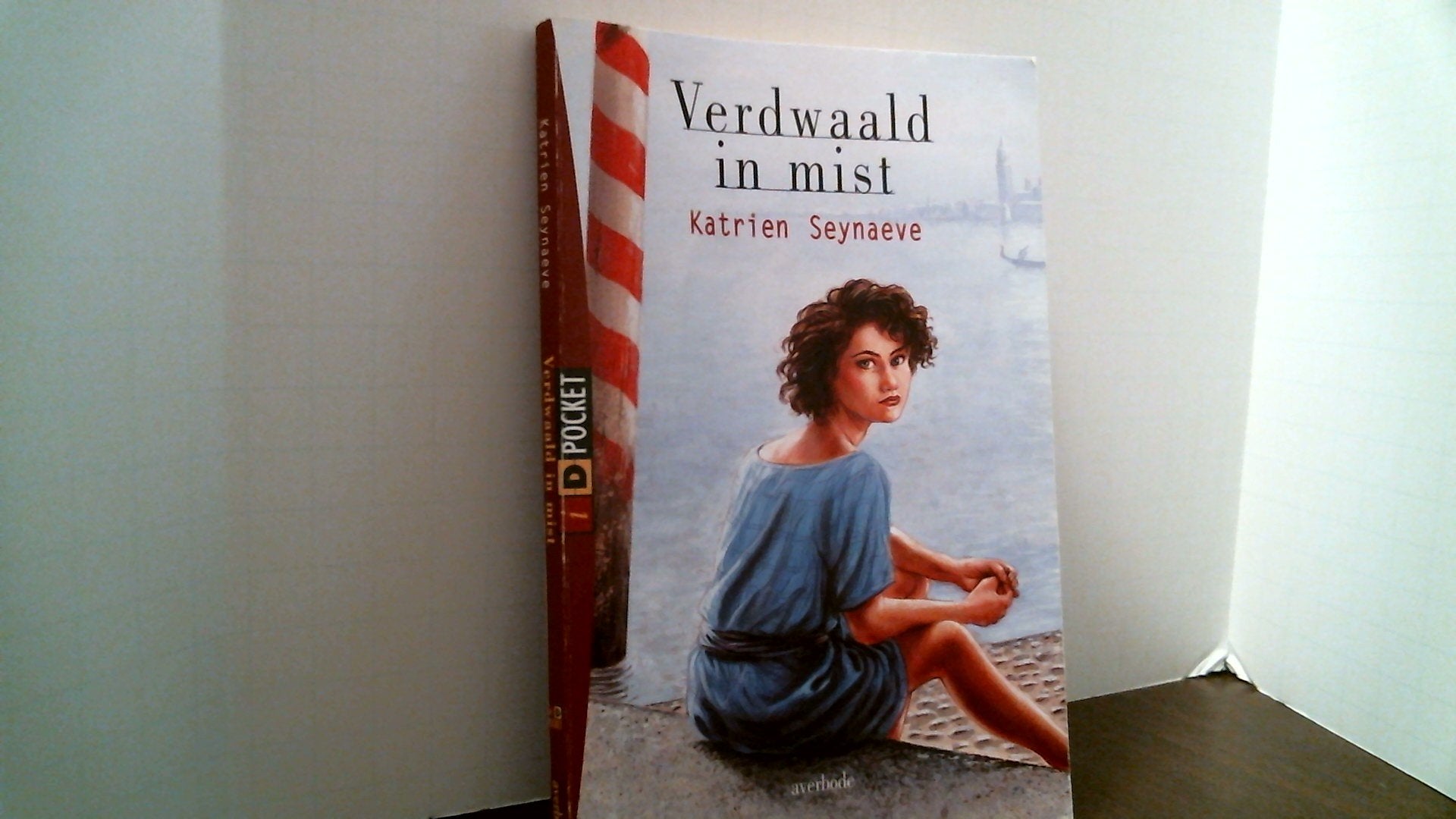 Verdwaald in mist: Reisgids voor de bewuste bezoeker book