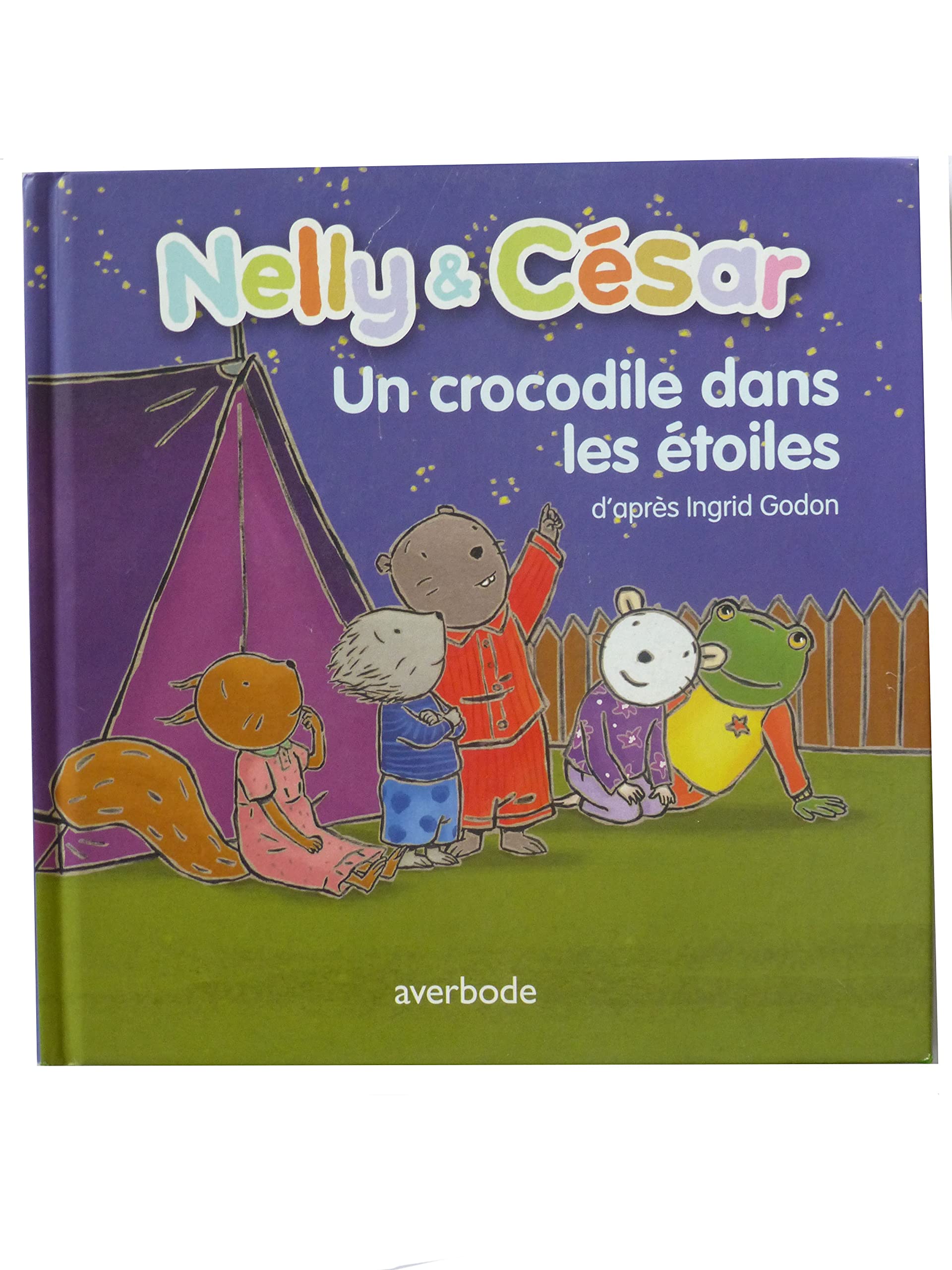 Lees-en werkboekjes-secundair onderwijs book