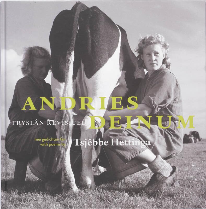 Andries Deinum: Fryslan revisited Leisure, Home & Garden