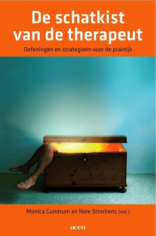 De schatkist van de therapeut. Oefeningen en strategieën voor de praktijk book