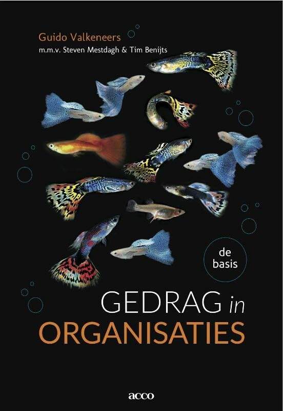 Gedrag in organisaties: de basis Business, Finance & Career