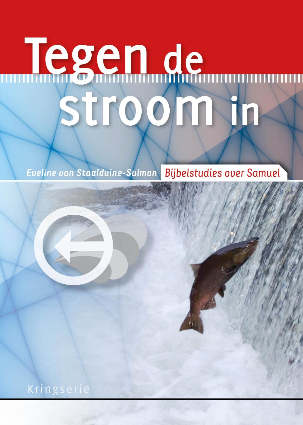 Tegen de stroom in: bijbelstudies over Samuel book