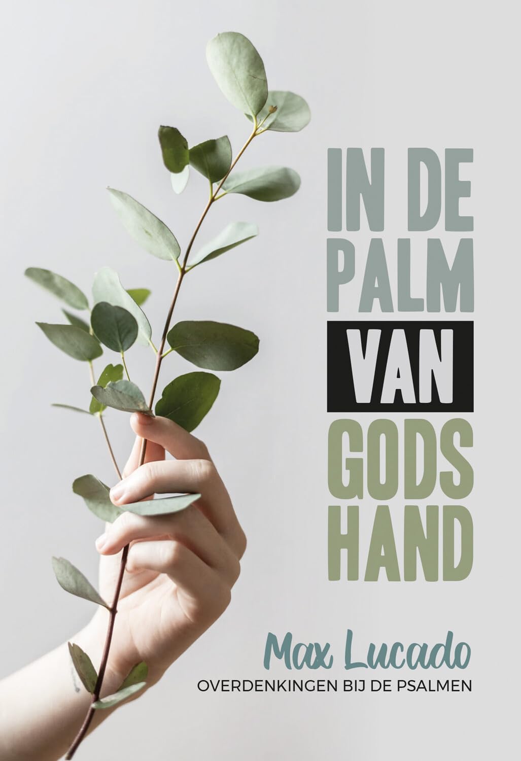 In de palm van Gods hand: Overdenkingen bij de Psalmen book