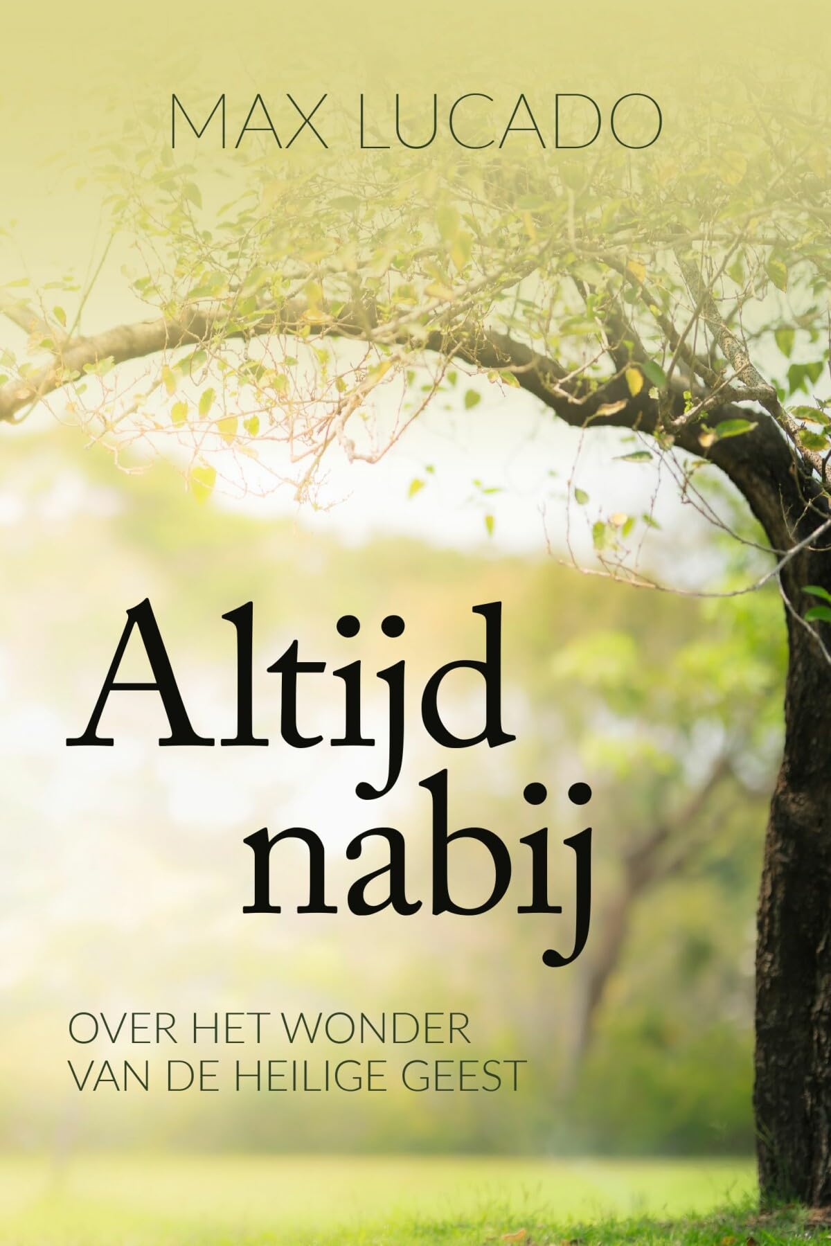 Altijd nabij: Over het wonder van de heilige geest Religion & Esotericism