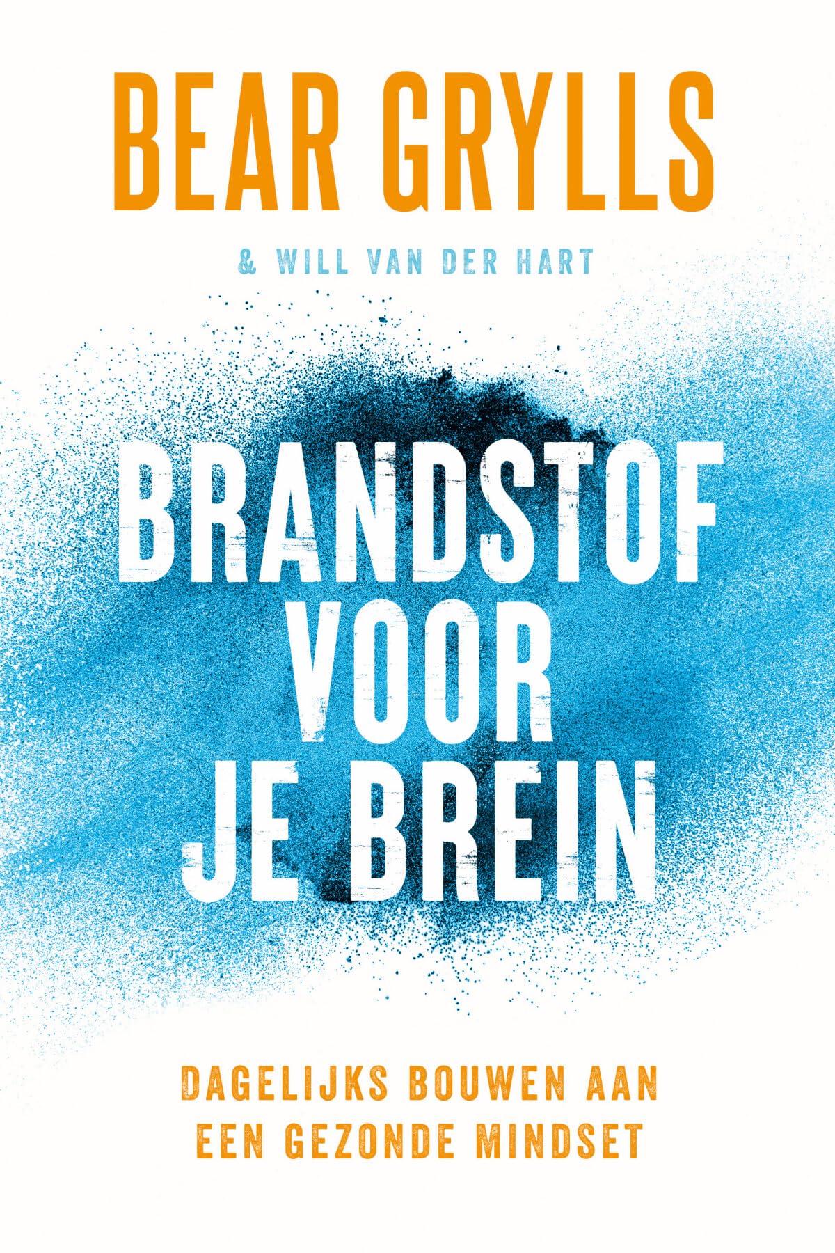 Brandstof voor je brein: dagelijks bouwen aan een gezonde mindset Religion & Esotericism