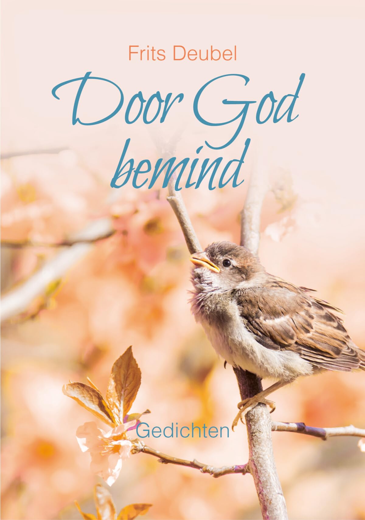 Door God bemind: Gedichten book