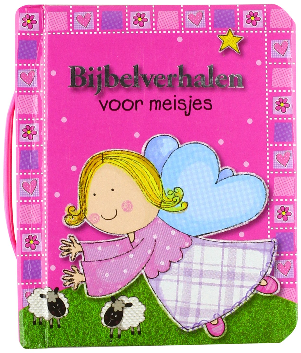 Bijbelverhalen voor meisjes book