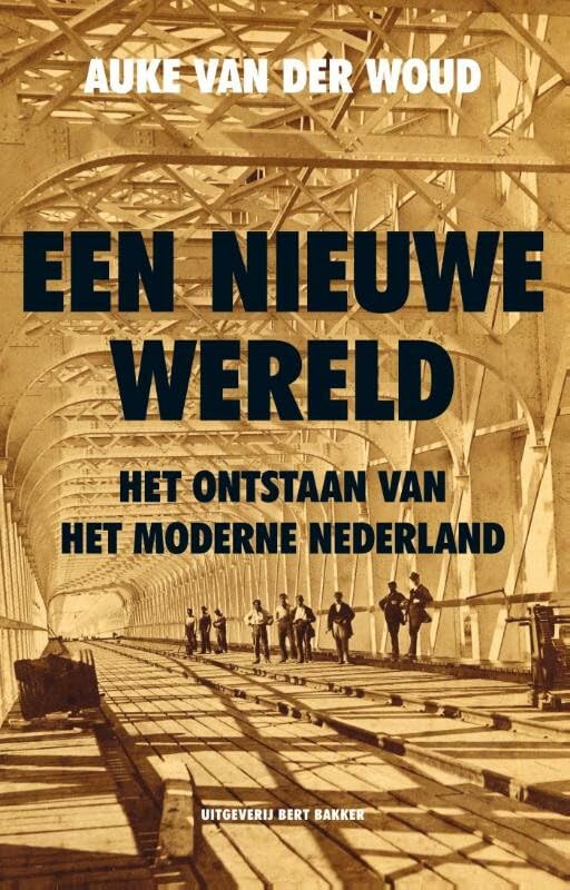 Een nieuwe wereld: het ontstaan van het moderne Nederland book