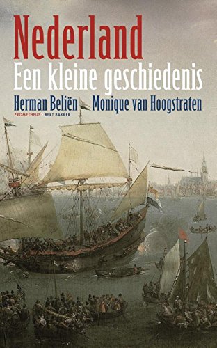 Nederland: een kleine geschiedenis book