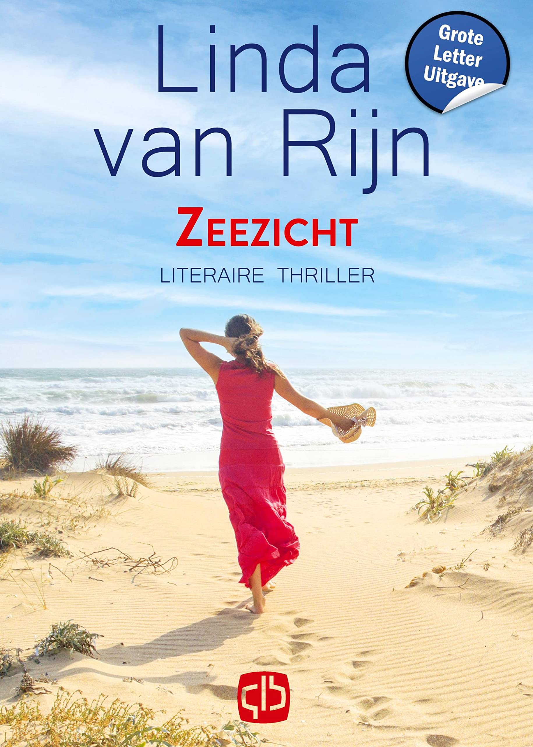 Zeezicht: literaire thriller book