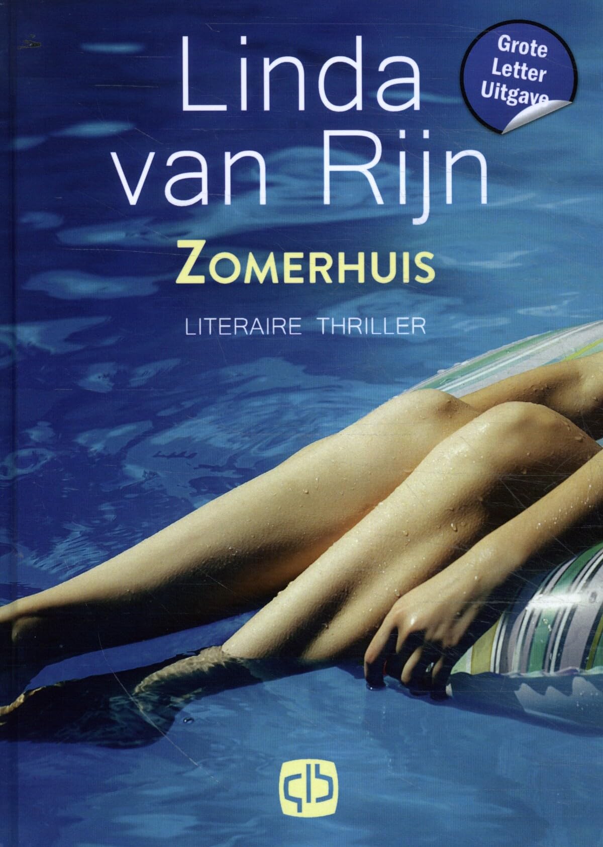 Zomerhuis: literaire thriller book