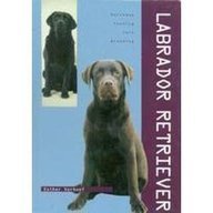 Product Image: Labrador Retriever