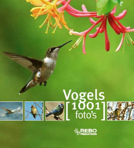 Vogels 1001 foto's Leisure, Home & Garden
