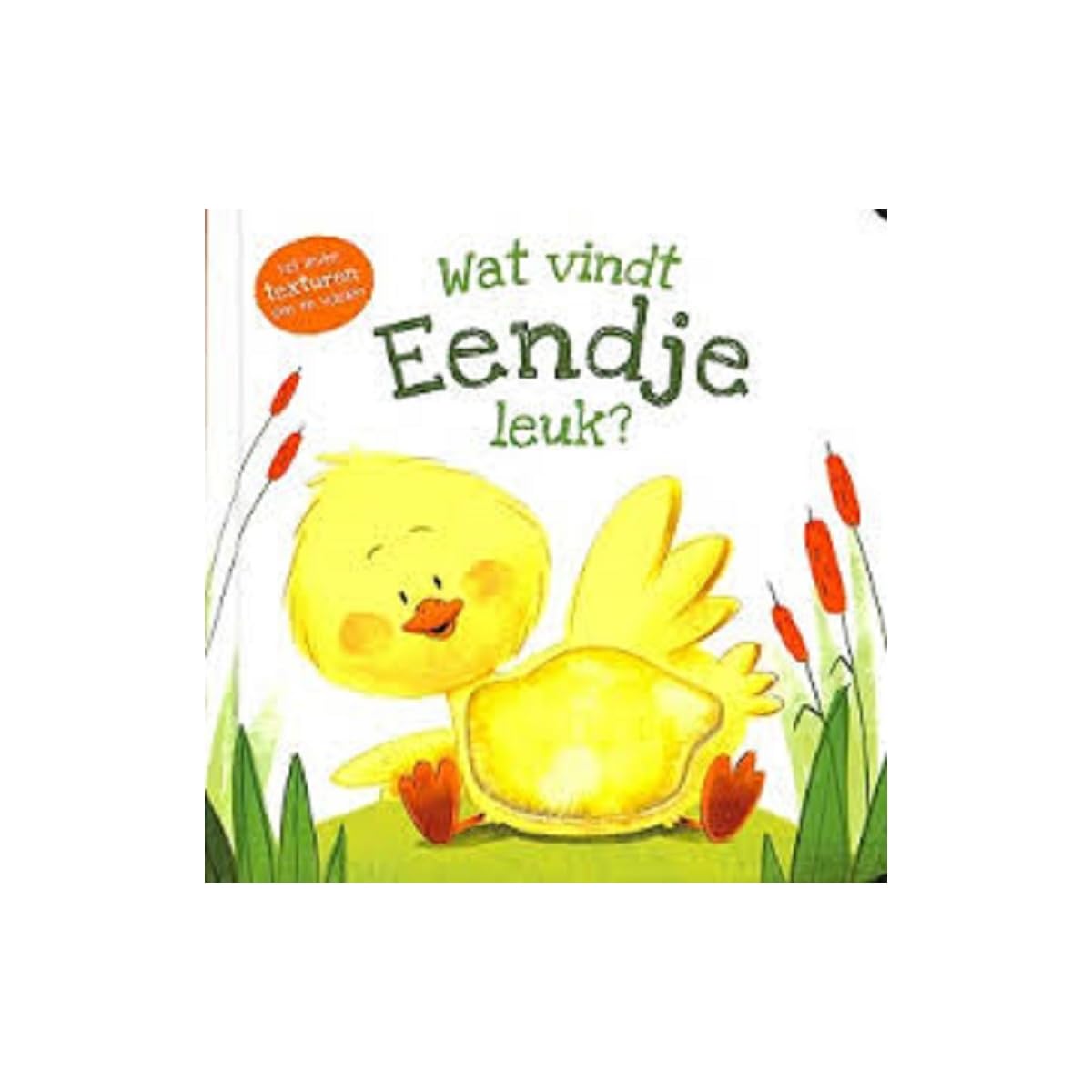 Wat vindt eendje leuk?: vol leuke texturen om te voelen (Wat vindt ... leuk?) Non-fiction