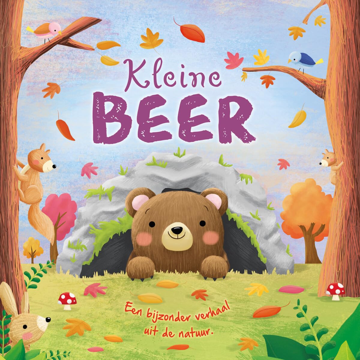 Kleine beer: een bijzonder verhaal uit de natuur book