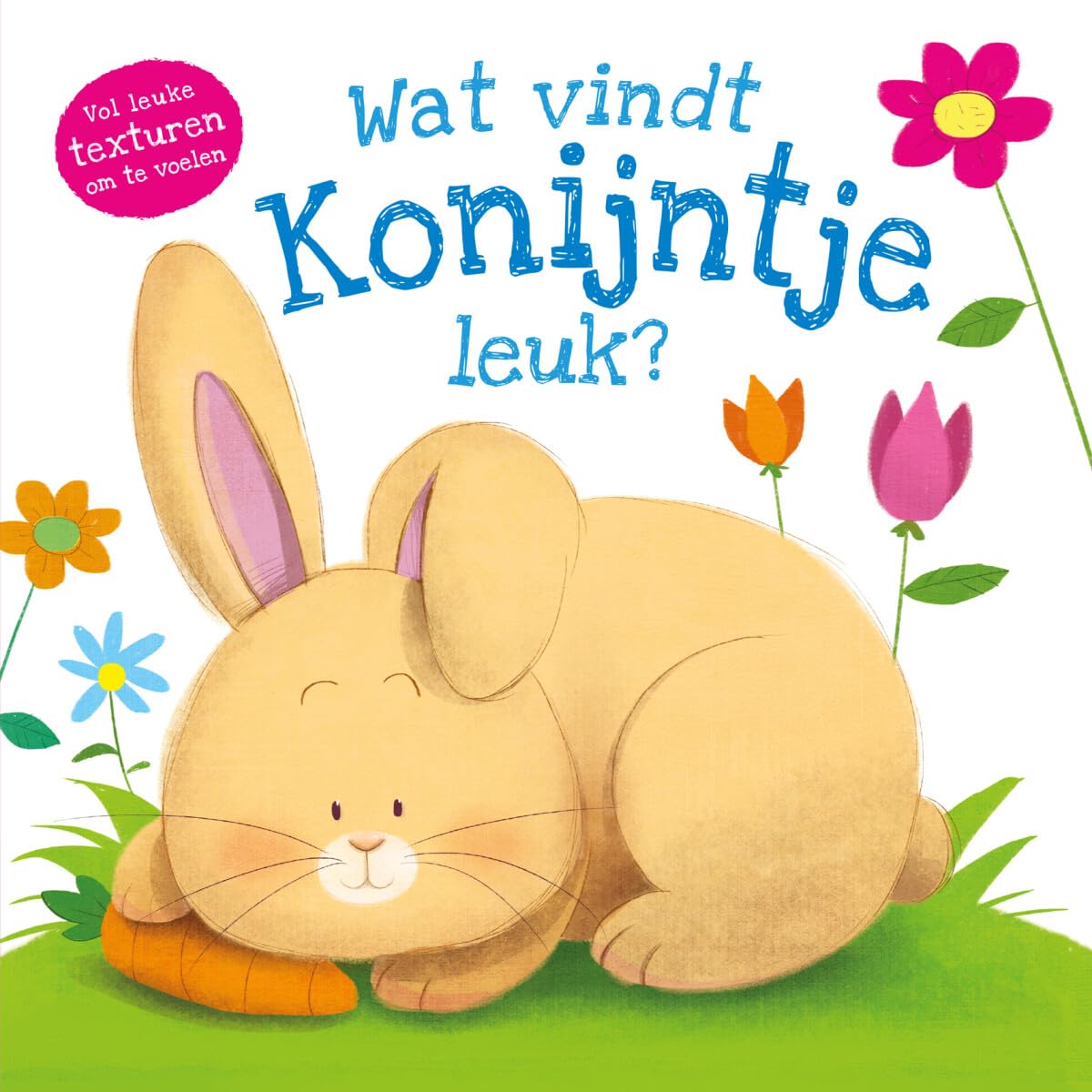 Wat vindt konijntje leuk?: Vol leuke texturen om te voelen book
