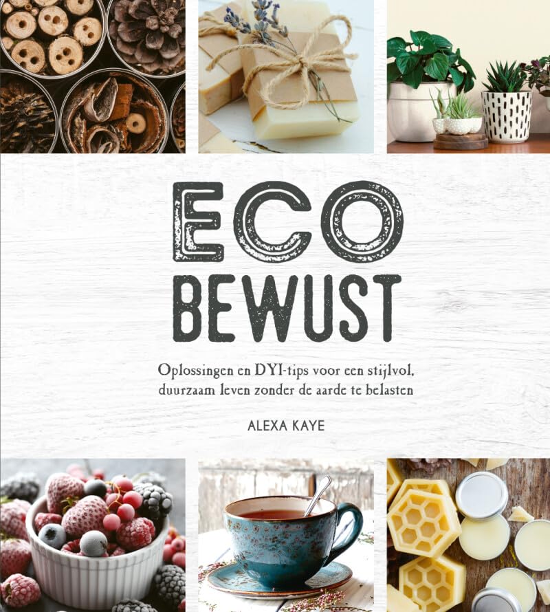 Ecobewust: oplossingen en DYI-tips voor een stijlvol, duurzaam leven zonder de aarde te belasten book