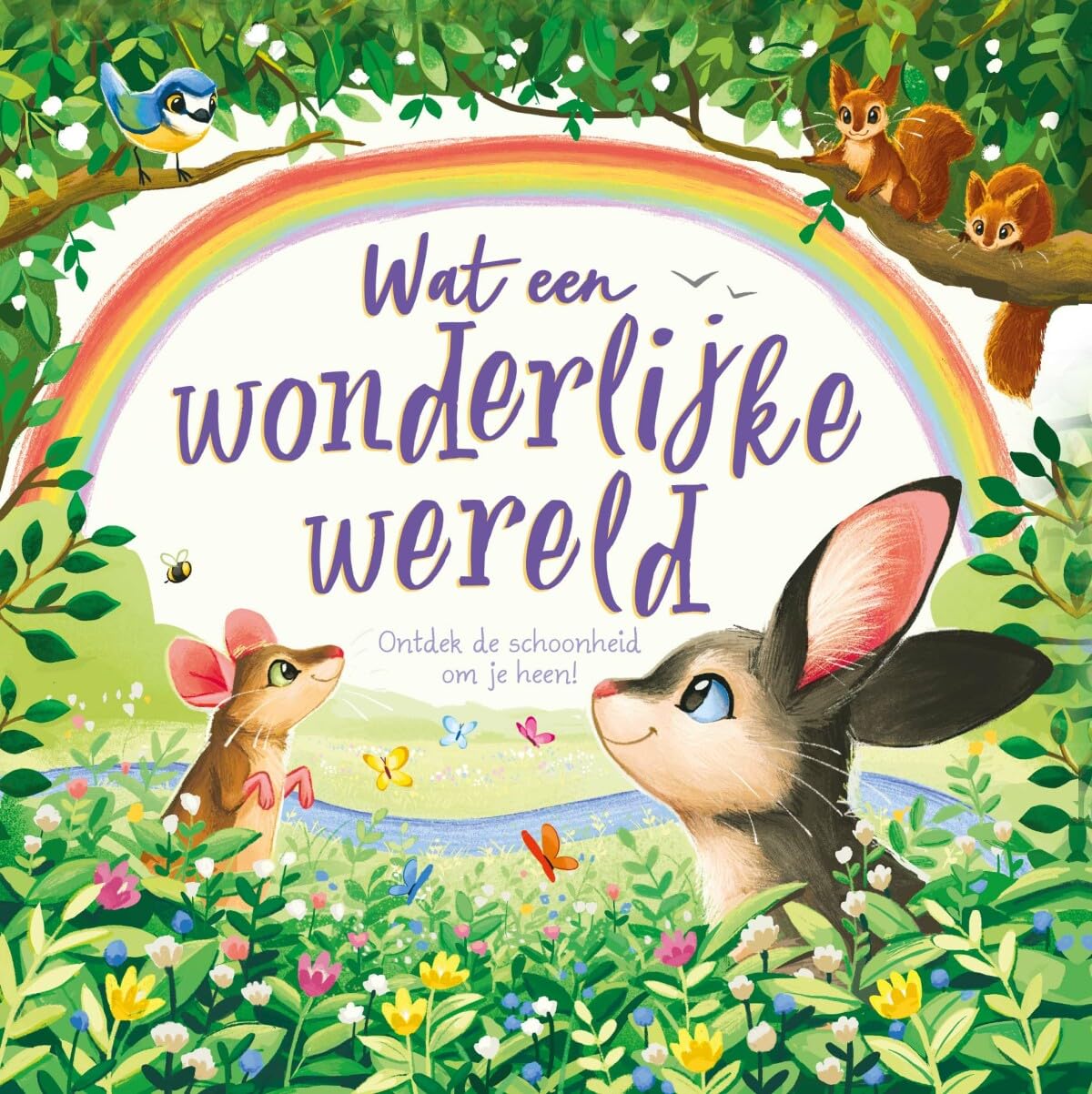 Wat een wonderlijke wereld: Ontdek de schoonheid om je heen book