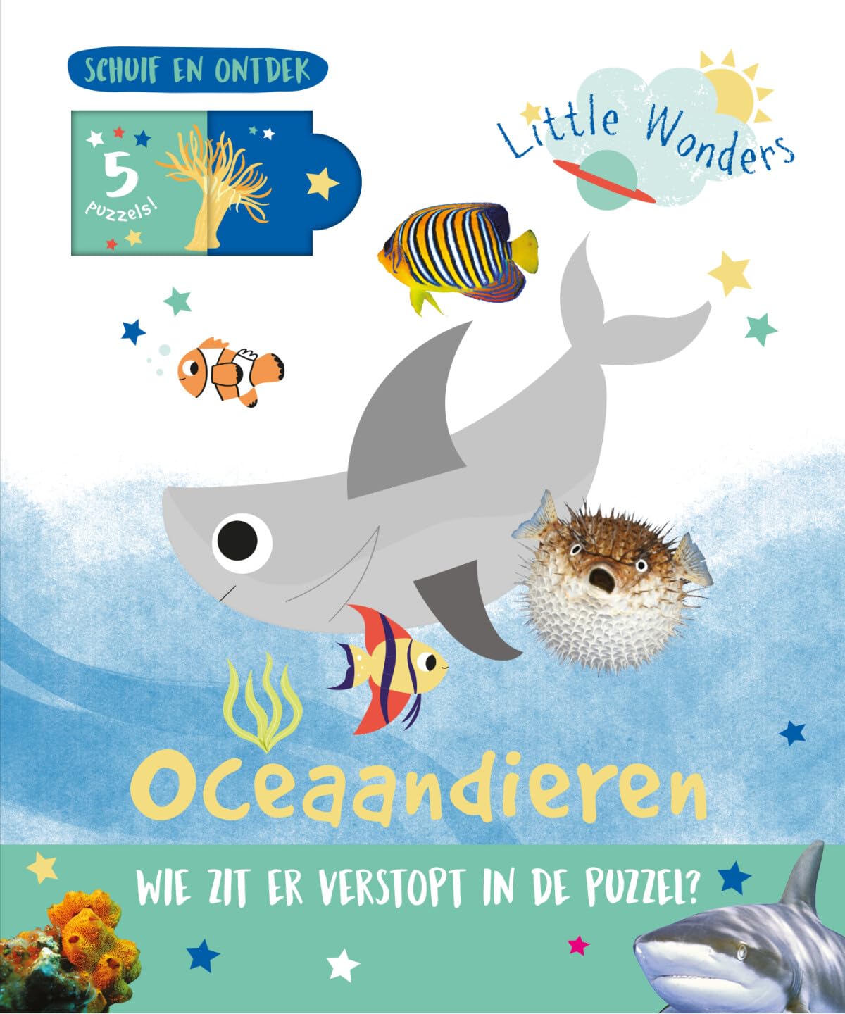 Oceaandieren: wie zit er verstopt in de puzzel? book