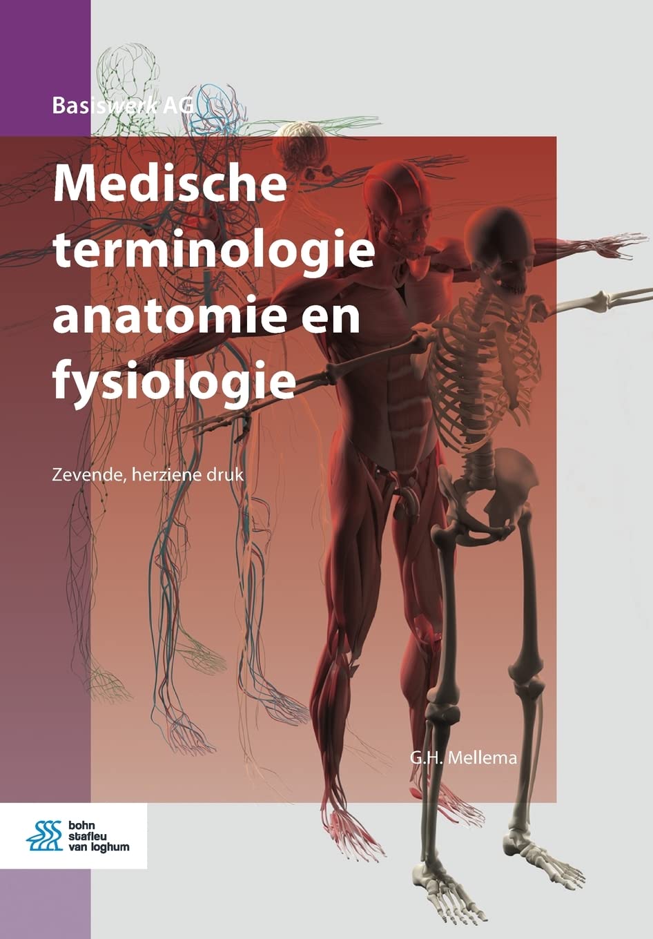Medische terminologie anatomie en fysiologie Medicine