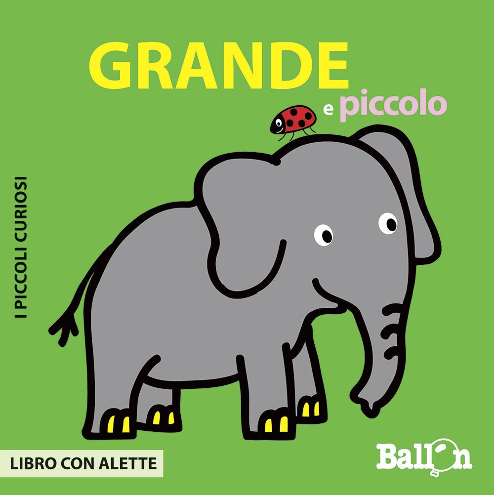 Grande e piccolo. I piccoli curiosi. Ediz. illustrata (Les petits curieux) Non-fiction