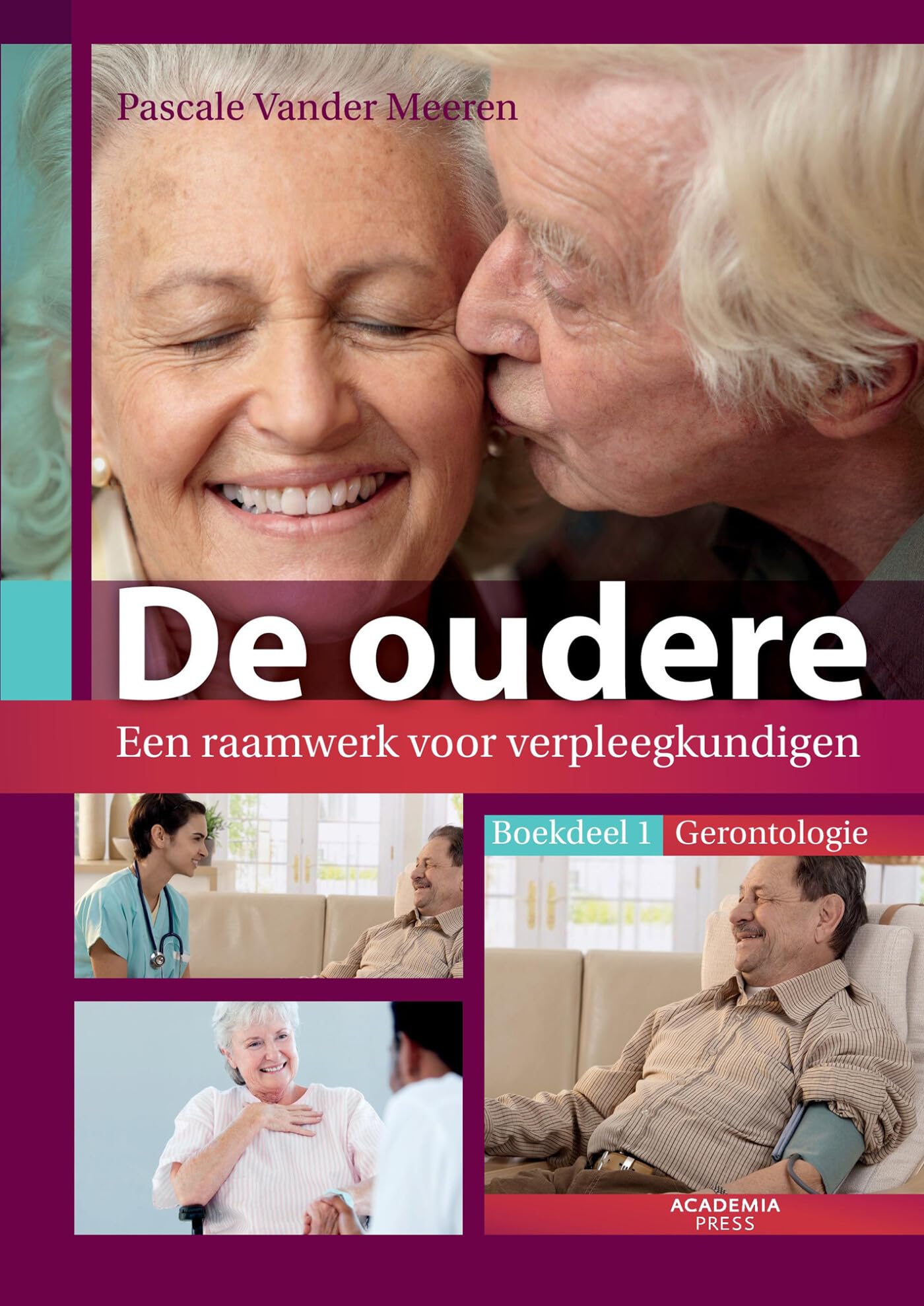 De oudere: Een raamwerk voor verpleegkundigen - Deel 1 book